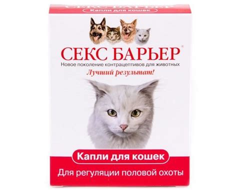 Успокоительное для кошек: в каких ситуациях применять