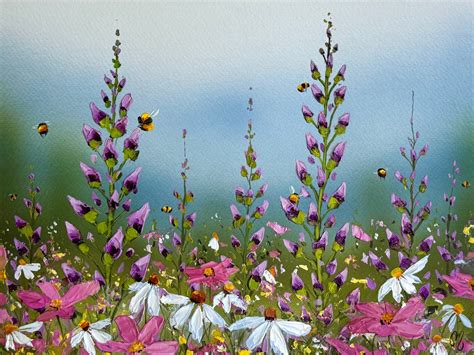 Peaceful Meadows – Sarah Mcdonald Artwork