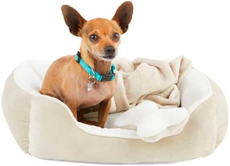 GO! 50% Off Petco Dog Beds - TONS of Fun & Cozy Options! | Hip2Save