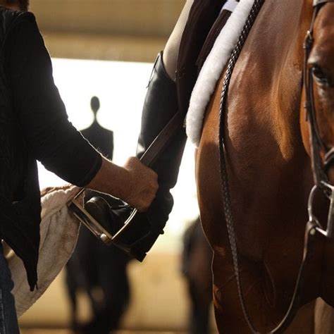 GoHorseShow - Tips on Finding the Correct Stirrup Length