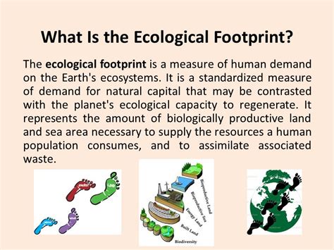 Ecological Footprint - Taking Action