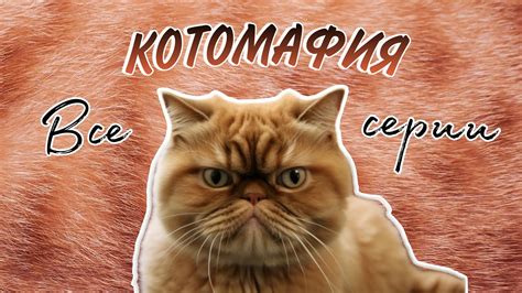 КОТОМАФИЯ - все серии😹 Угарный сериал про банду разговаривающих котов😼 ...