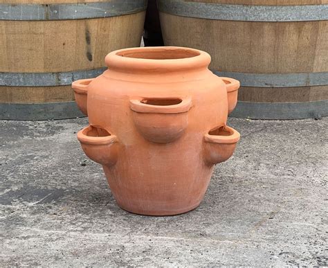 Terracotta Herb Pot | Wentworth Falls Pots