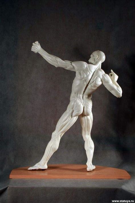 Пин от пользователя Nopphadon Taphang на доске Human&Figurative ...