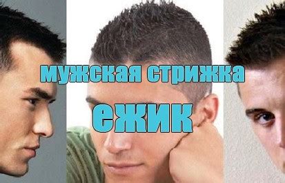 Мужская стрижка ежик: технология выполнения, кому подойдет и фото со ...