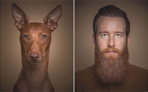 Petalikes: Meet the dogs who look like their owners