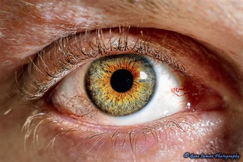 Macro Eye | Macro Human Eye My Best Lens & Sensor Ever try t… | Flickr