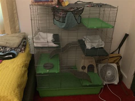 I’m going to get rats soon! Here’s the cage I have! : r/RATS