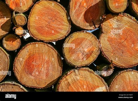 Pile of firewood Stock Photo - Alamy