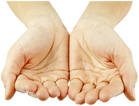 рука, кисть руки, жест - download free render hands and feet on Artage.io