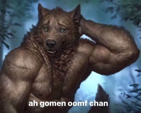 alpha wolf meme | Funny laugh, Memes, Funny memes