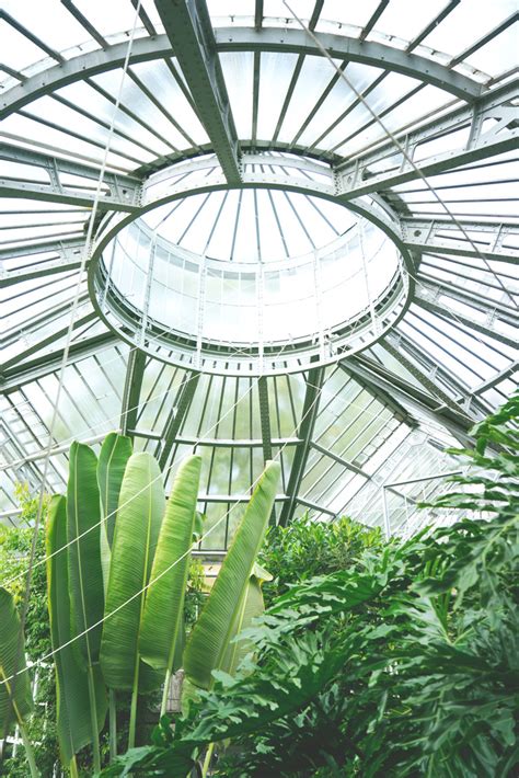 Hortus Botanicus in Amsterdam – JOELIX