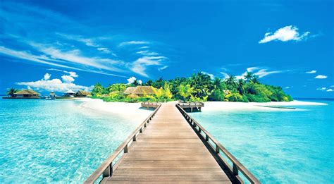 Summer Desktop Wallpapers - Top Free Summer Desktop Backgrounds ...