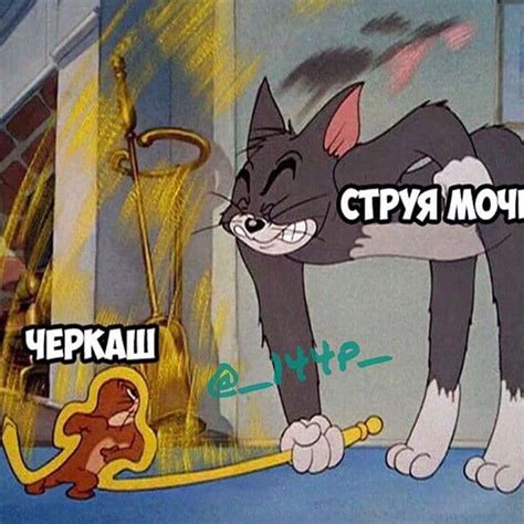 Что такое Черкаш это... Что значит? Значение слова | Все кидки!