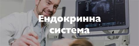 Ендокринна система