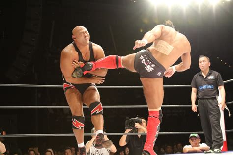 Free Images : muscle, fight, men, fat, sports, emotion, wrestling ...