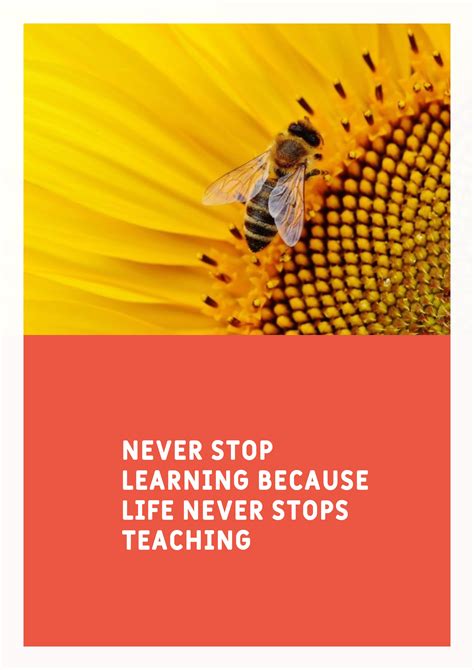 Never Stop Learning 2