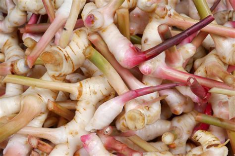Galangal vs. Ginger - Healthier Steps