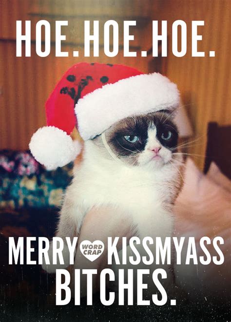 Grumpy Cat Christmas Pictures, Photos, and Images for Facebook, Tumblr ...