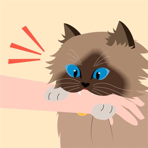 Biting | Petcademy
