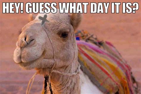 Best Lent Memes 2023 For The 40 Days Of The Lenten Season