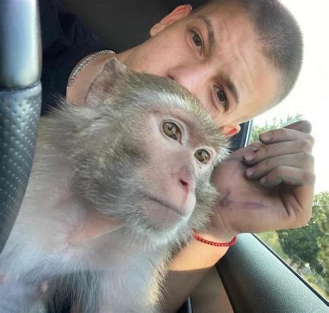 Ko je jutjuber Stefan Janković