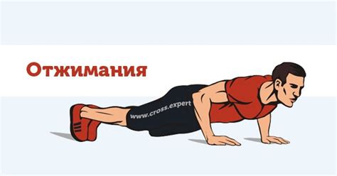 Отжимания от пола: программа тренировок (схема и таблица), какие мышцы ...