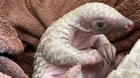 Fundraiser by Katharine Lister : Raise money for solar panels to save