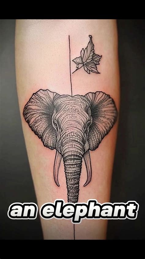 realistic elephant tattoo