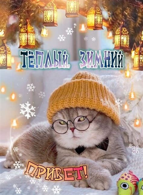 Открытка Теплый зимний привет!