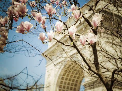 spring  nyc