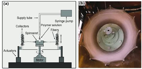 schematic diagram   cs system    present study