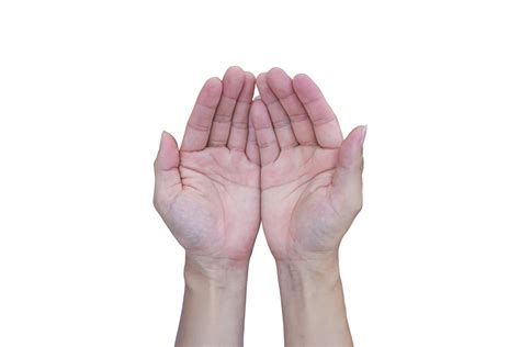 open hand isolated  transparent background png file  png