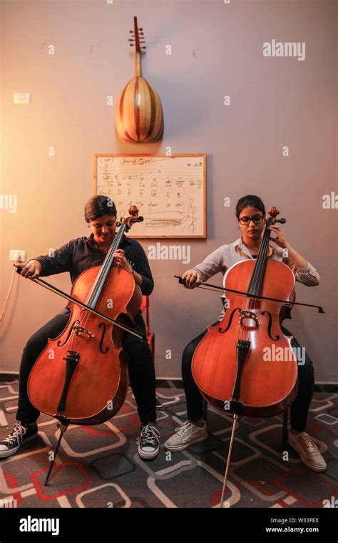 violin types  instruments  res stock photography  images alamy