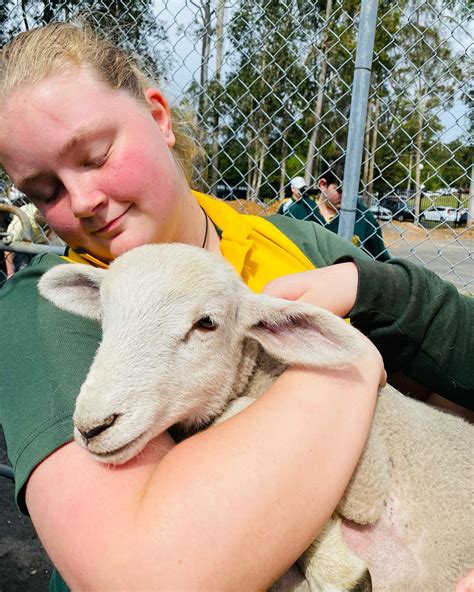 Berkeley Vale Campus added a new... - Berkeley Vale Campus