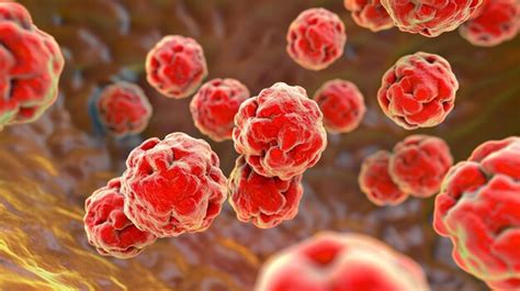 Streptococcal Images - Free Download on Freepik