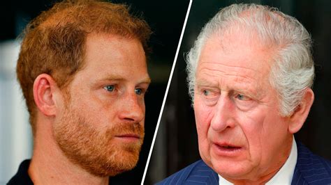 Discussion between Prince Harry and King Charles revealed