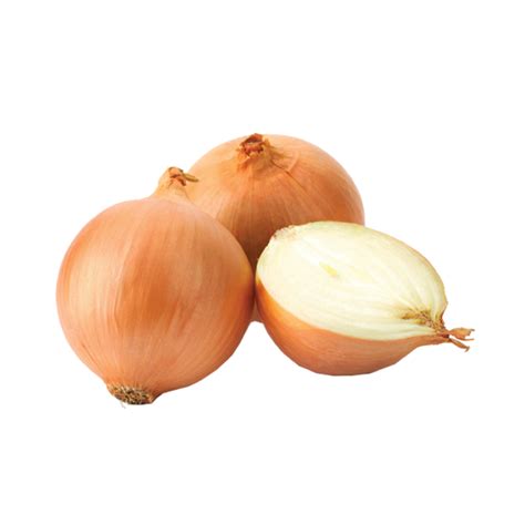 Bawang Besar NZ - Imbasjaya Sdn Bhd