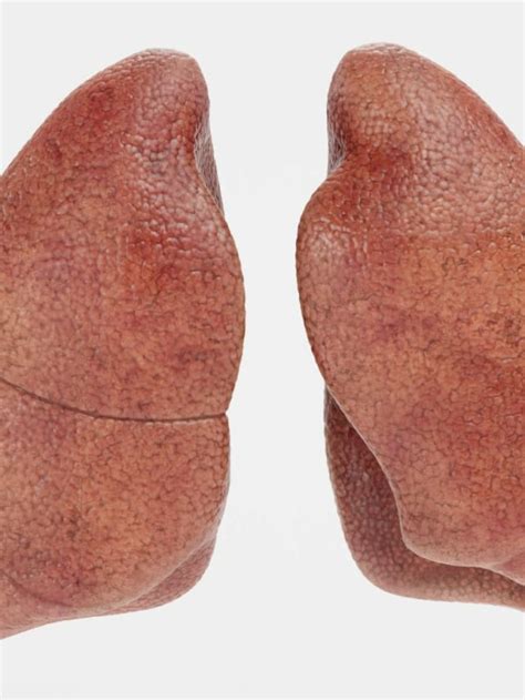 Tips for healthy lungs