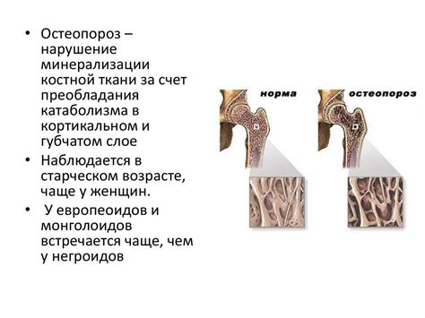 Жирорастворимые витамины - презентация онлайн