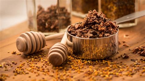 Propolis Nedir? Propolis Faydaları nelerdir? | Avicenna Hastanesi