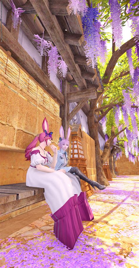 Stella Fox (@StellaStellaFox) / Twitter