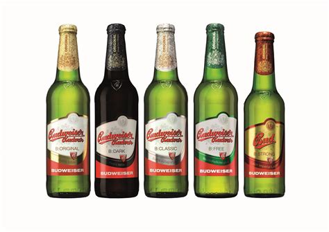 Пиво Будвайзер Будвар (Budweiser Budvar): описание и виды