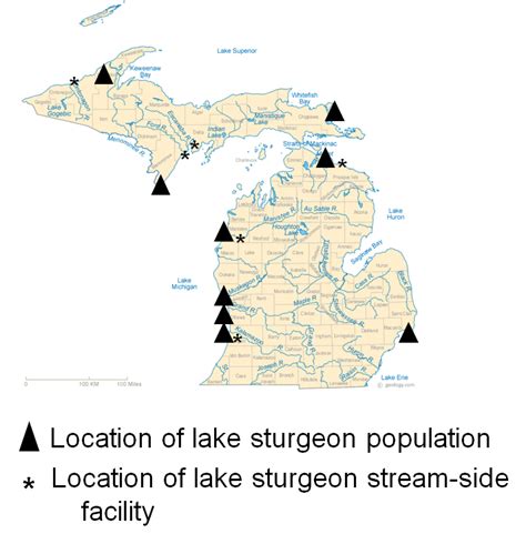 Education & Outreach | Great Lakes Sturgeon