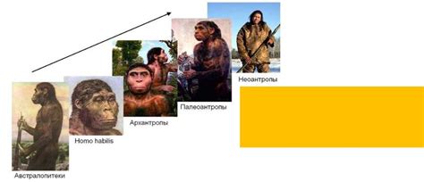 Презентация на тему: Антропология