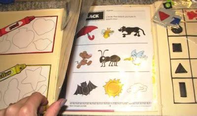 Living Creatively: The Ultimate Color and Shape Lapbook