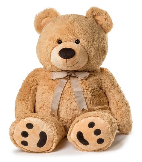 collection  pictures teddy bear  camera   completed