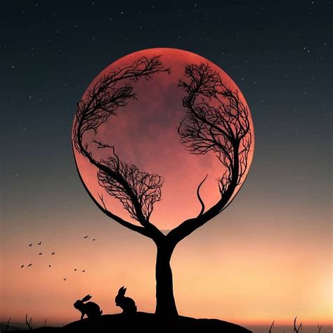 captivating nature photography good night  moon images