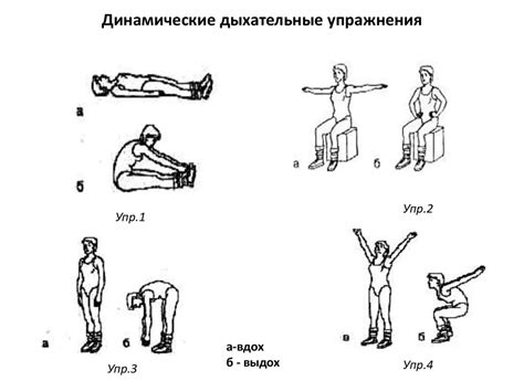 Лечебная физическая культура - презентация онлайн