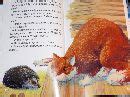 Книга: Чудеса в решете - Михаил Каришнев-Лубоцкий. Купить книгу, читать ...